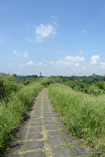 Campuhan Ridge Walk @ Ubud, Bali • Sassy Urbanite's Diary